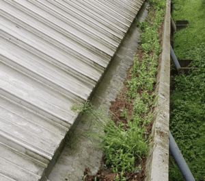 Happy customers in Potton who trust The Roof Moss Cleaners for gutter cleaning services