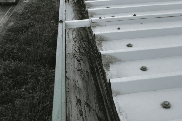 Commercial gutter cleaning specialists in Potton